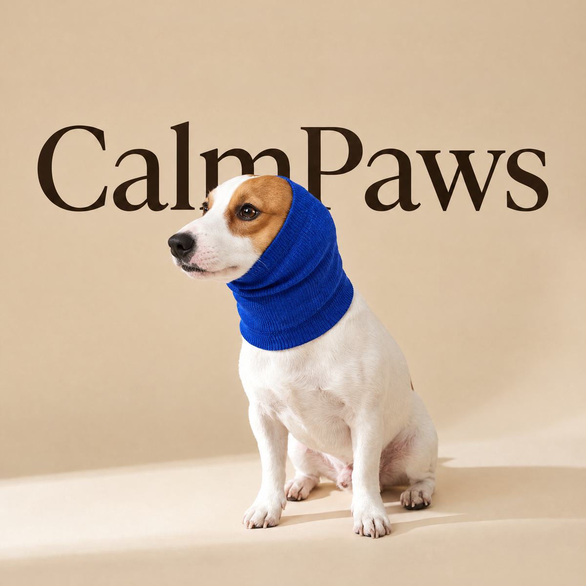 CalmPaws hood in Royal Blue